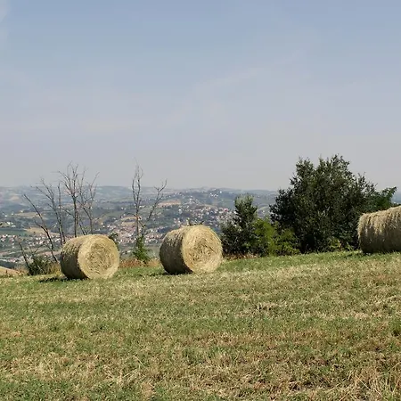Verdi Colline Country house Controguerra