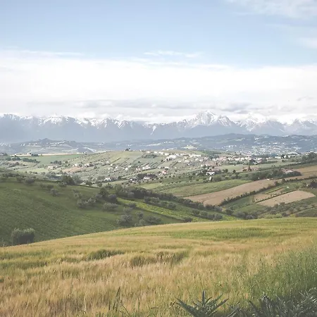 Verdi Colline
