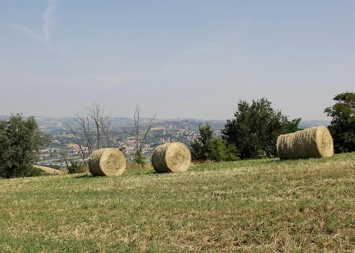 Verdi Colline Kır Evi Controguerra